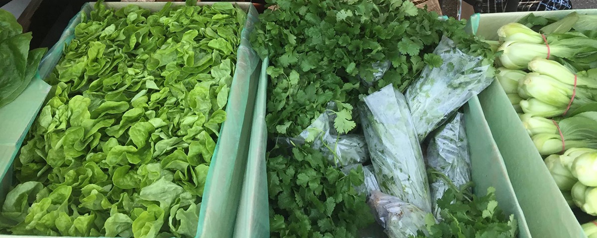 Locally grown vegetables 
