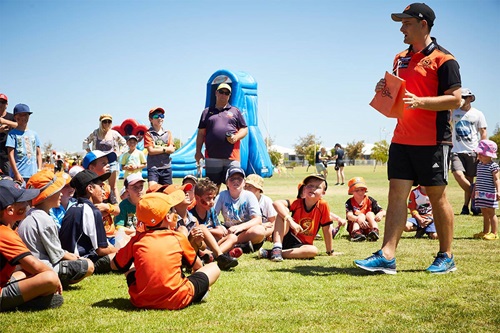 golden bay scorchers