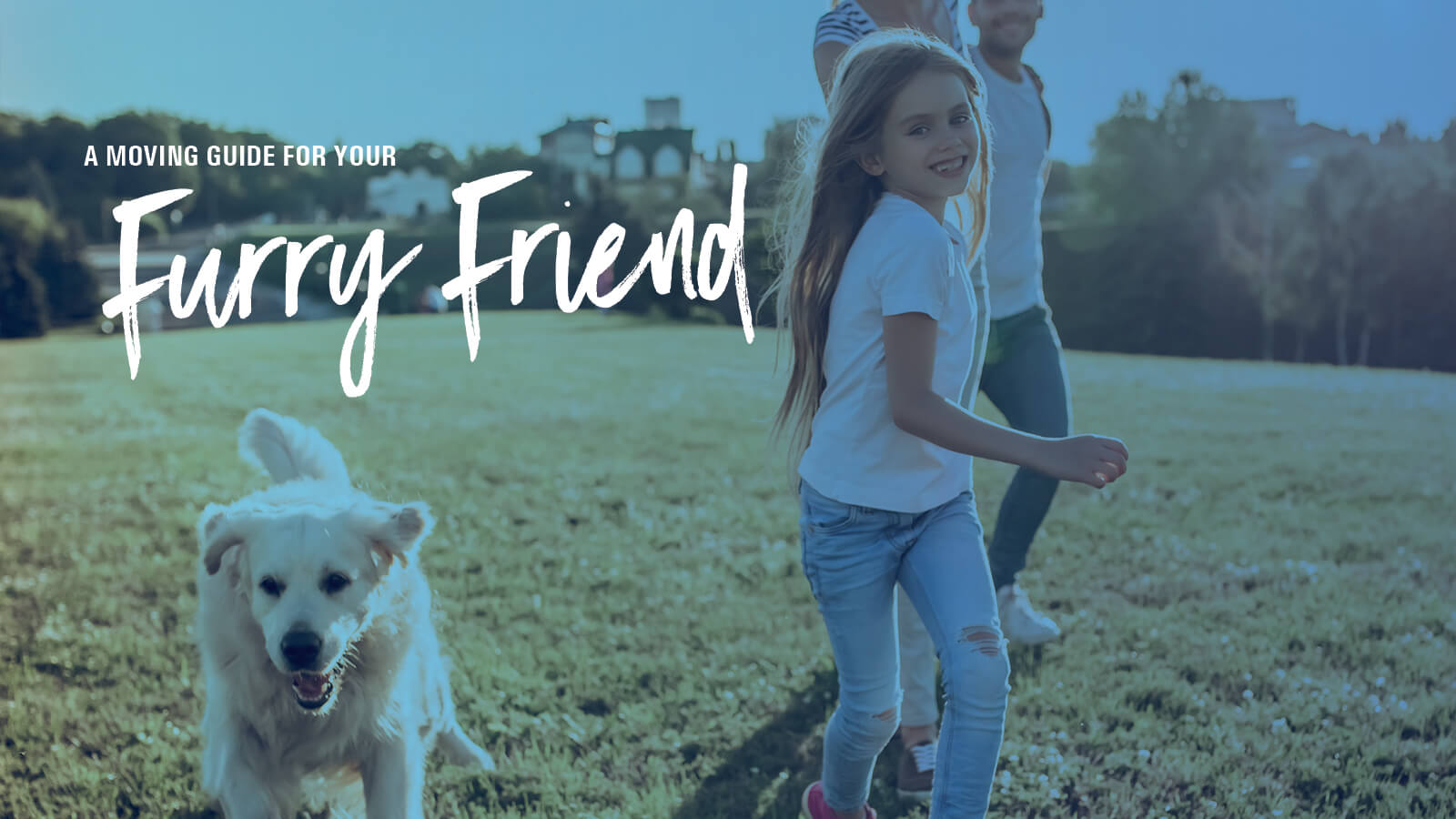 A Moving Guide for Your Furry Friend Peet Limited