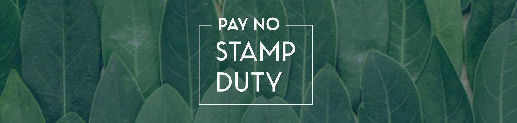 Bluestone Pay No Stamp Duty
