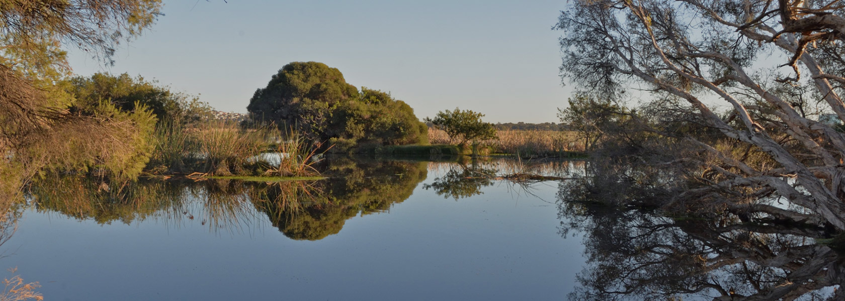 Herdsman Lake