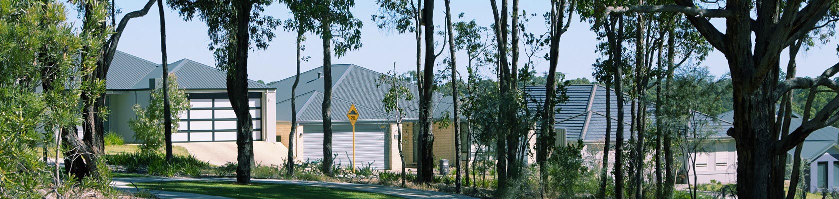 line of houses through trees