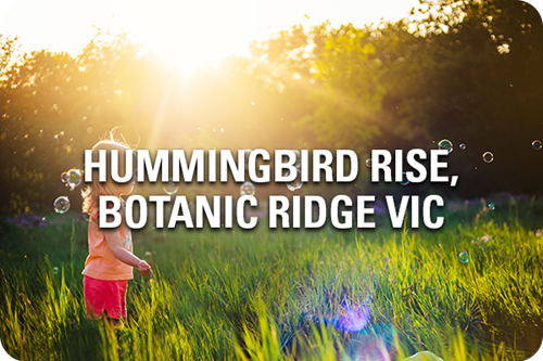 Hummingbird Rise