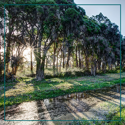 Brabham St Leonards Creek