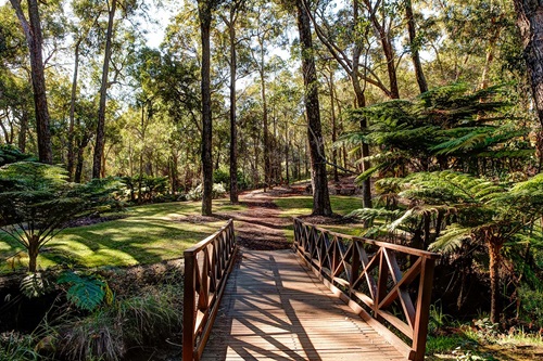 The Avenue Araluen Botanic Park