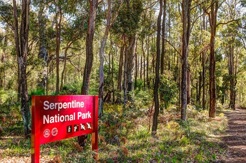 The Avenue Serpentine National Park