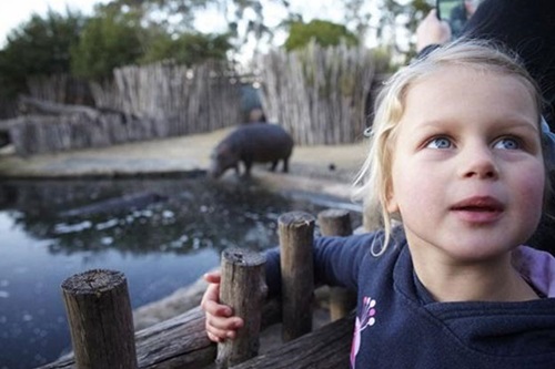 Child at zoo