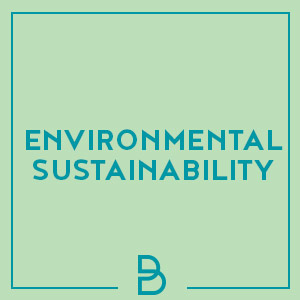 brabham environmental sustainability