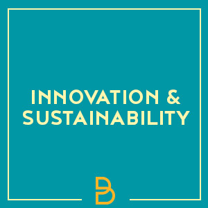 Brabham innovation and sustainability