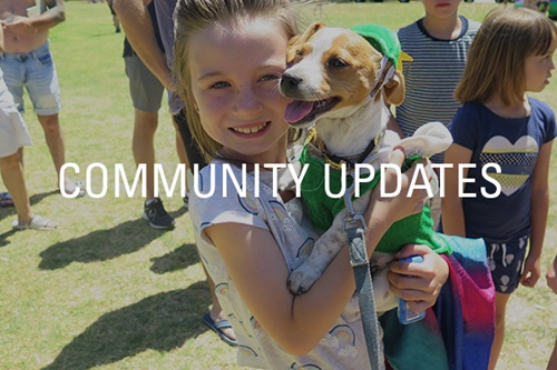 Golden Bay Community Updates and Events