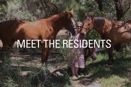 Meet the Residents