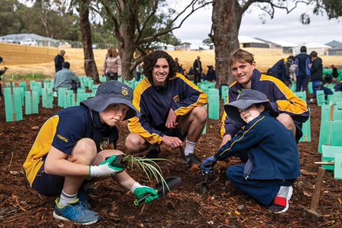 Lakelands Annual Tree Planting Day 2019