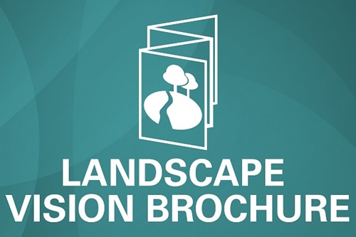 Landscape vision brochure icon lakelands