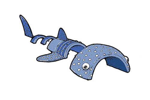 whale shark png