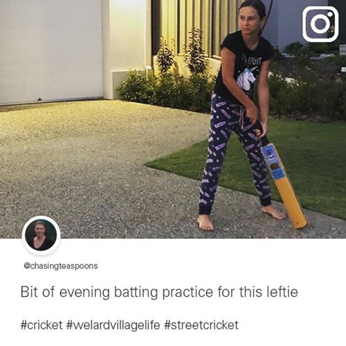 WEL_ugc_cricket
