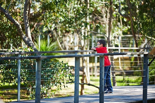 child on viewing boardwalk yanchep national park