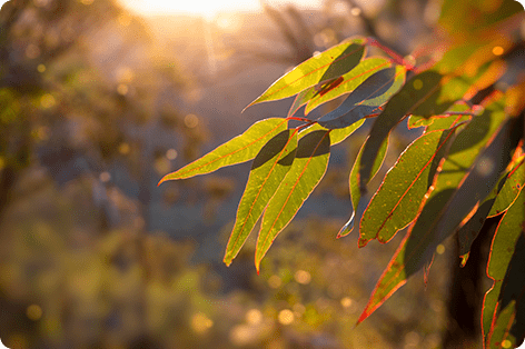 discovery-seminars-jumping-creek