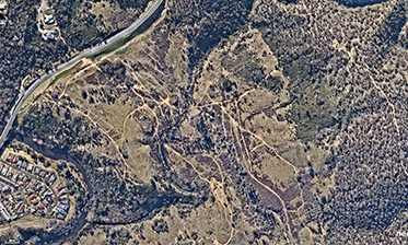 NEWS_NearMaps150722