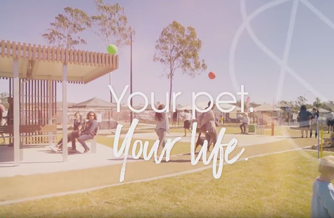 fc-dog-park-video