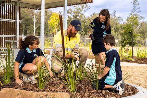 national-tree-day-2023-tile-image-600x400
