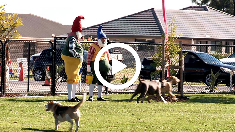 rb-dog-park-image-1