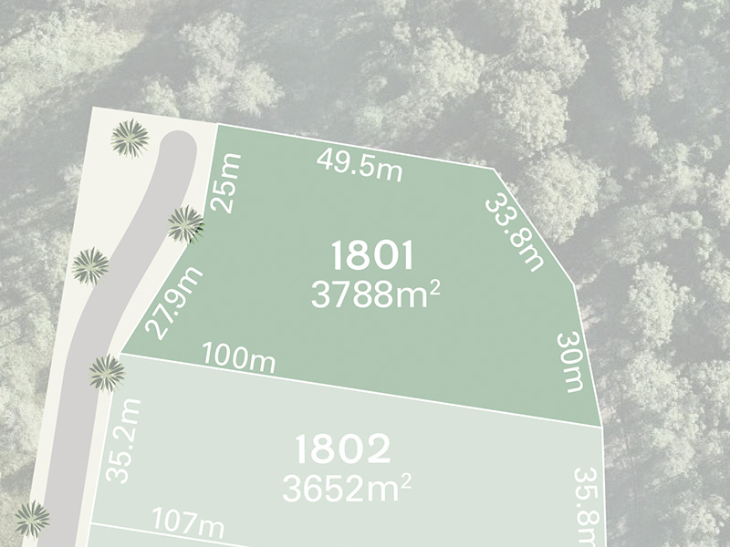 Spring Mountain Lot 1801