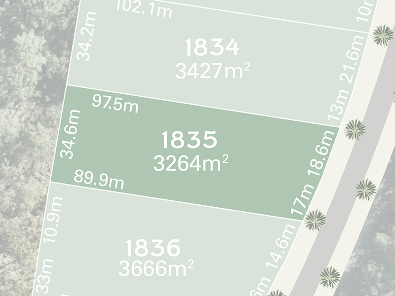 Spring Mountain Lot 1835