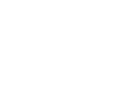 Vantage