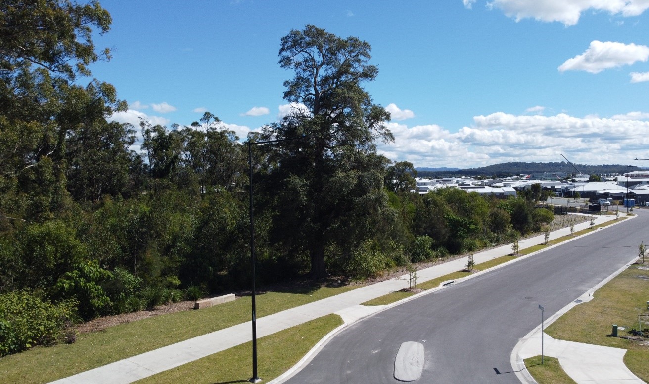A fresh green space for the community
