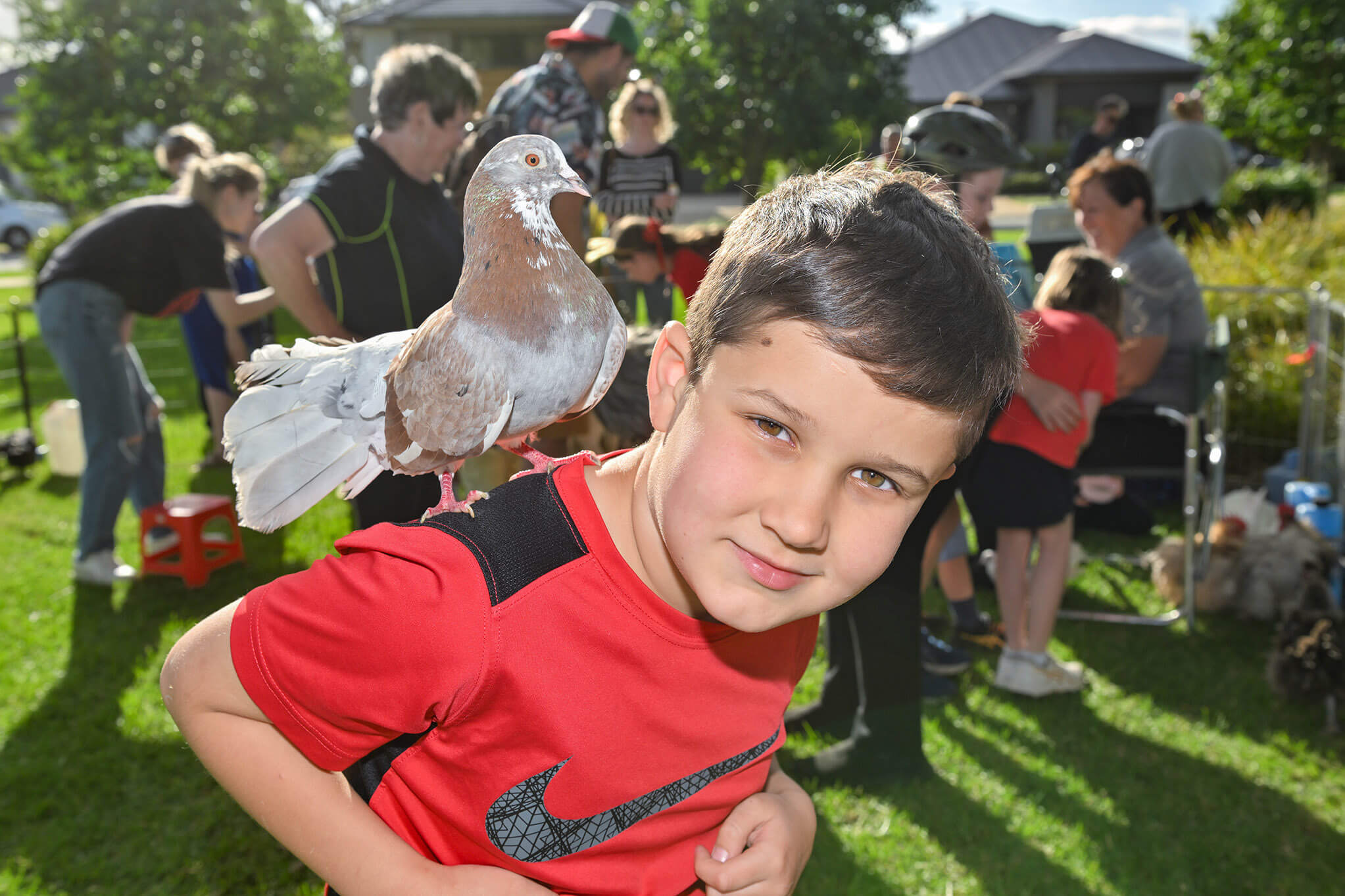 Bluestone Mt Barker Christmas 2024