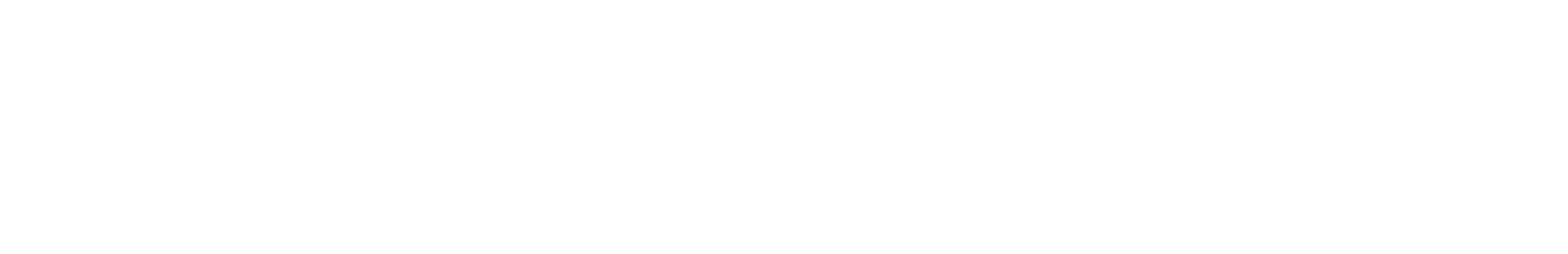 South Logo