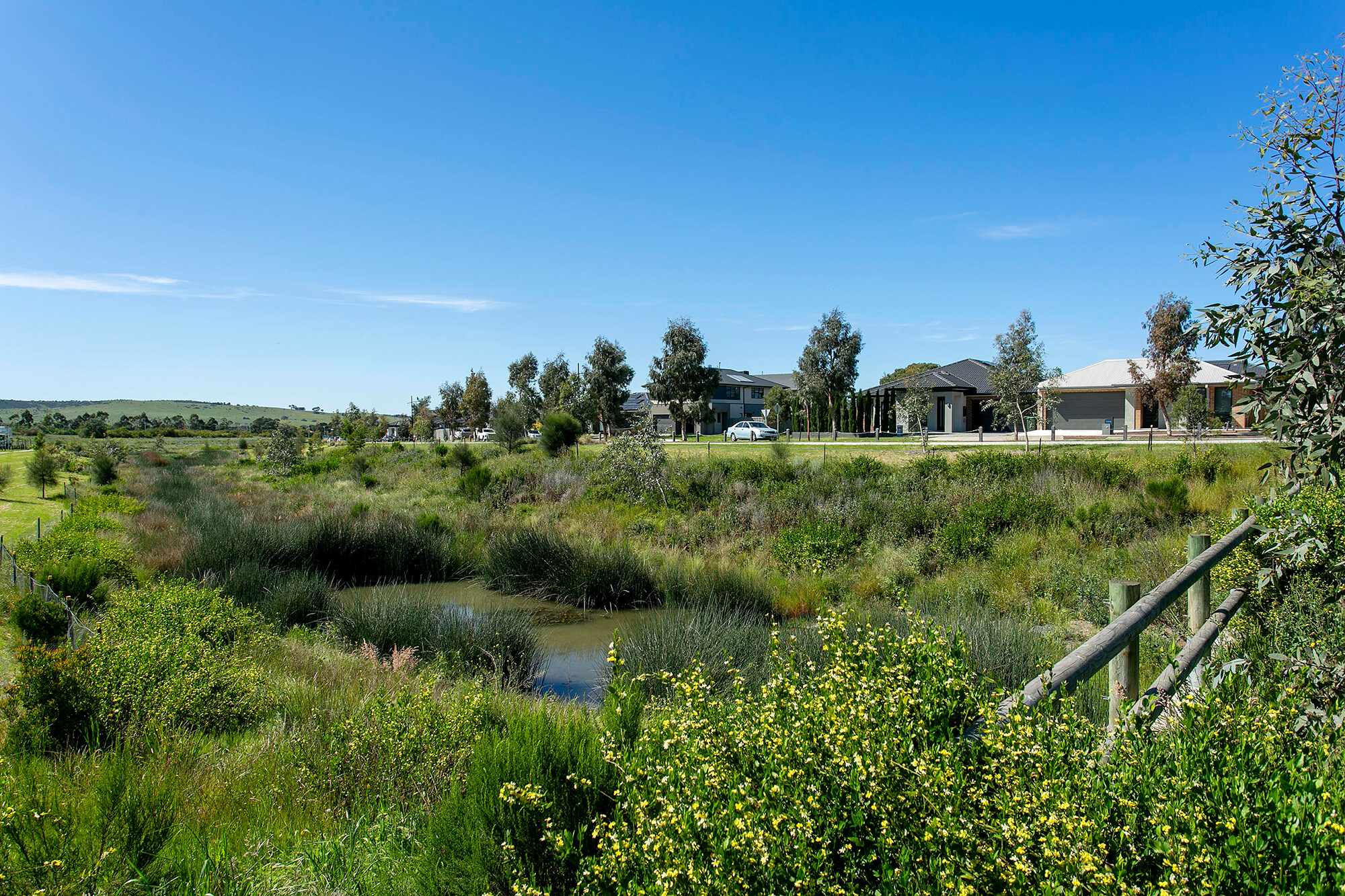 Ellery Wollert Site Photography