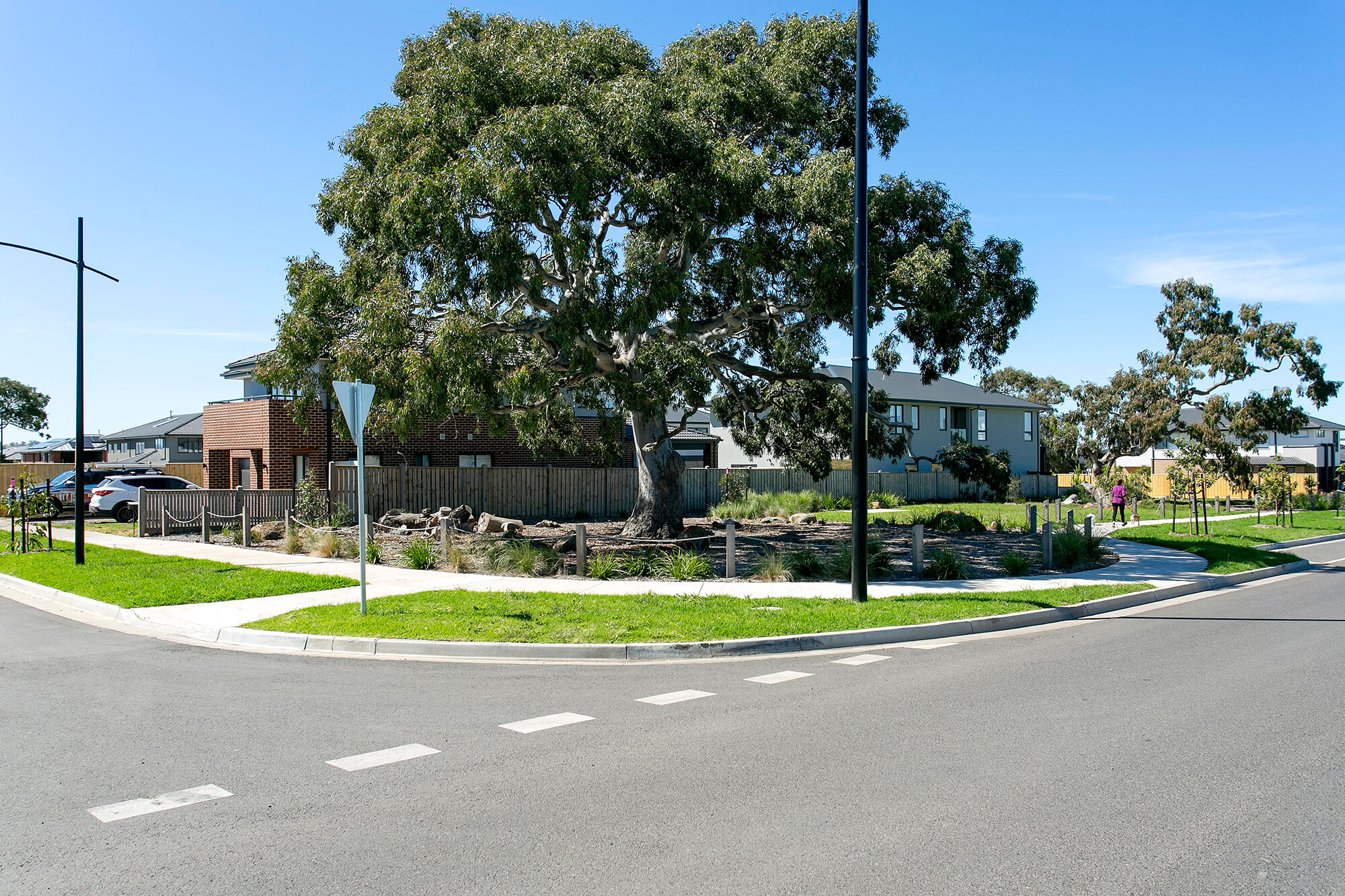 Ellery Wollert Site Photography