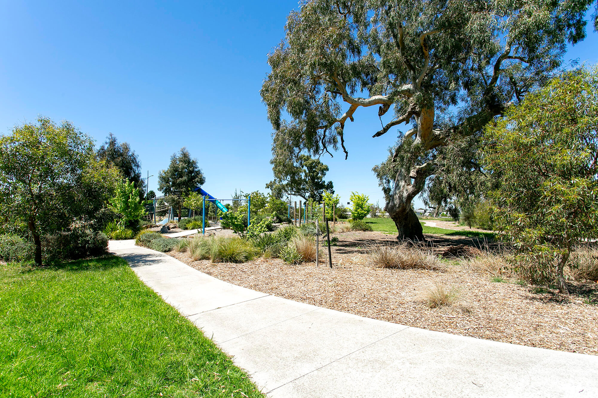 Ellery Wollert Site Photography