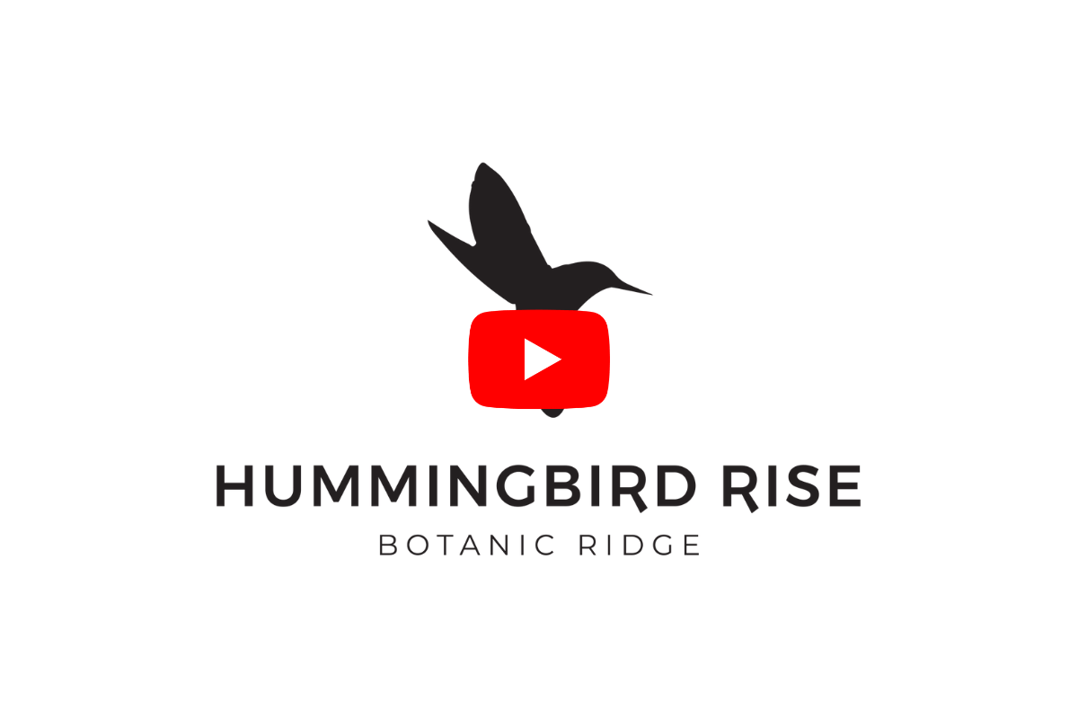 hbr-construction-update-mar2023