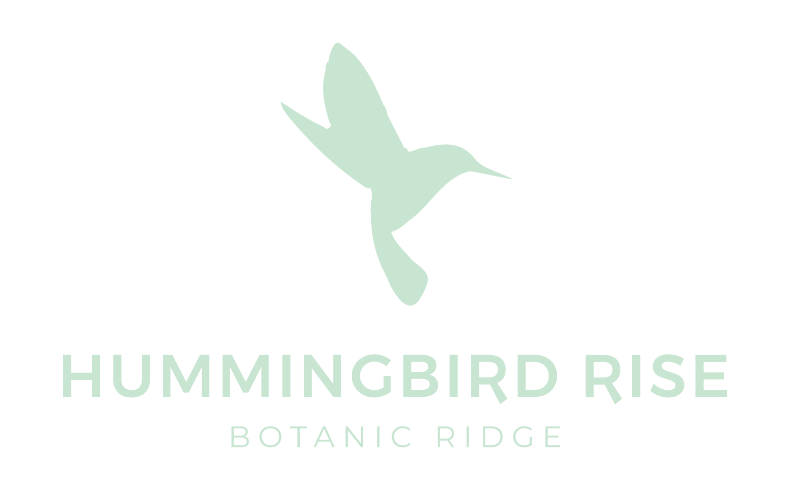 Hummingbird Rise