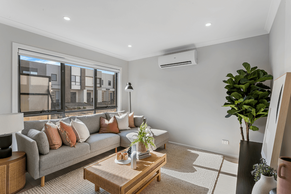 lt-new-display-home-news-image