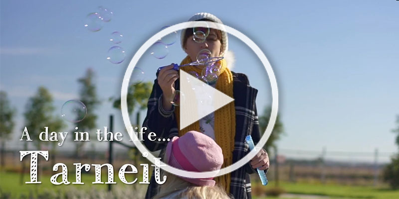 new_updates_mkw_day_in_the_life_video_updated