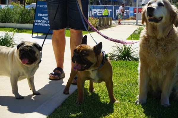 Burns Beach Display Village Launch