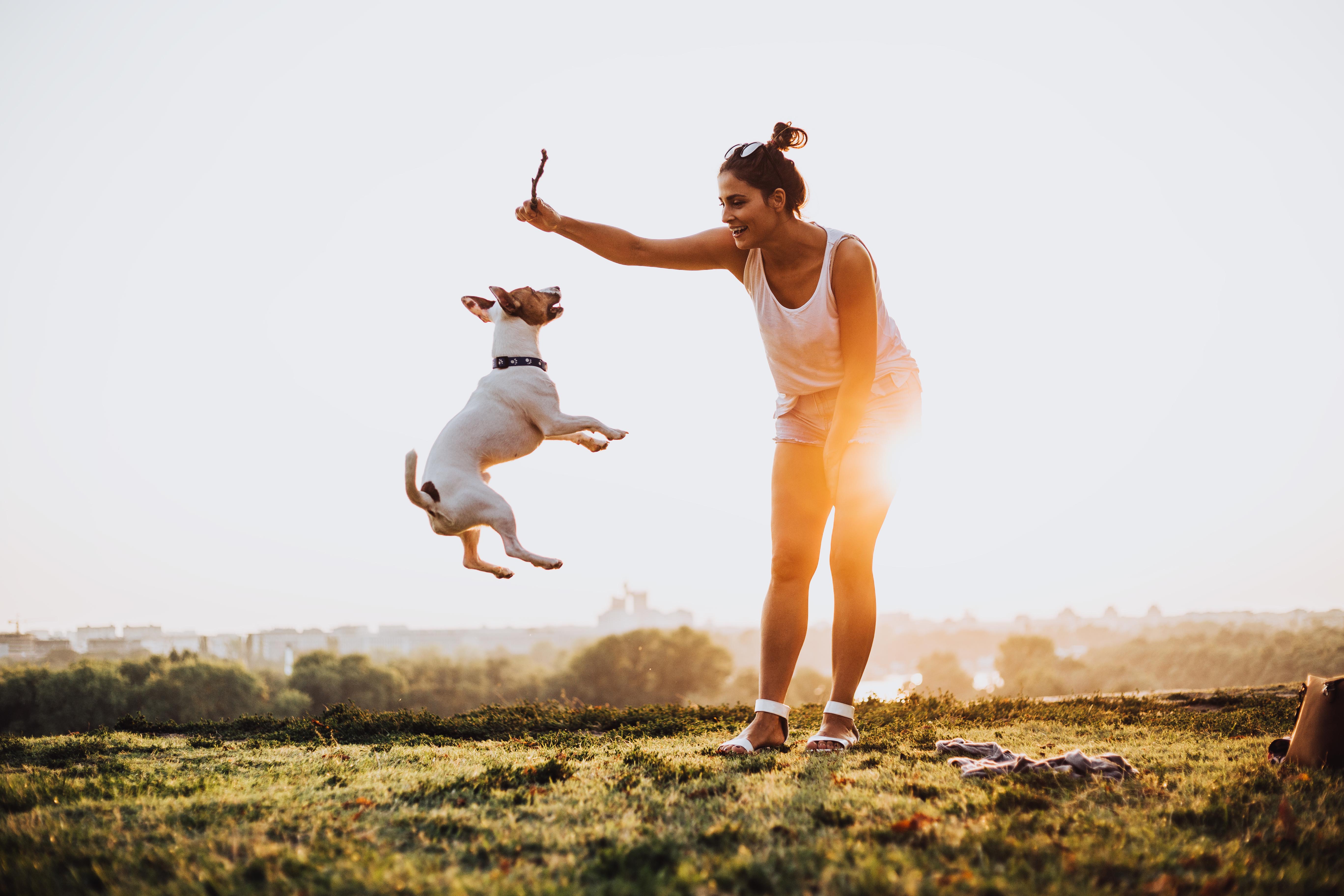 istock-1033281696