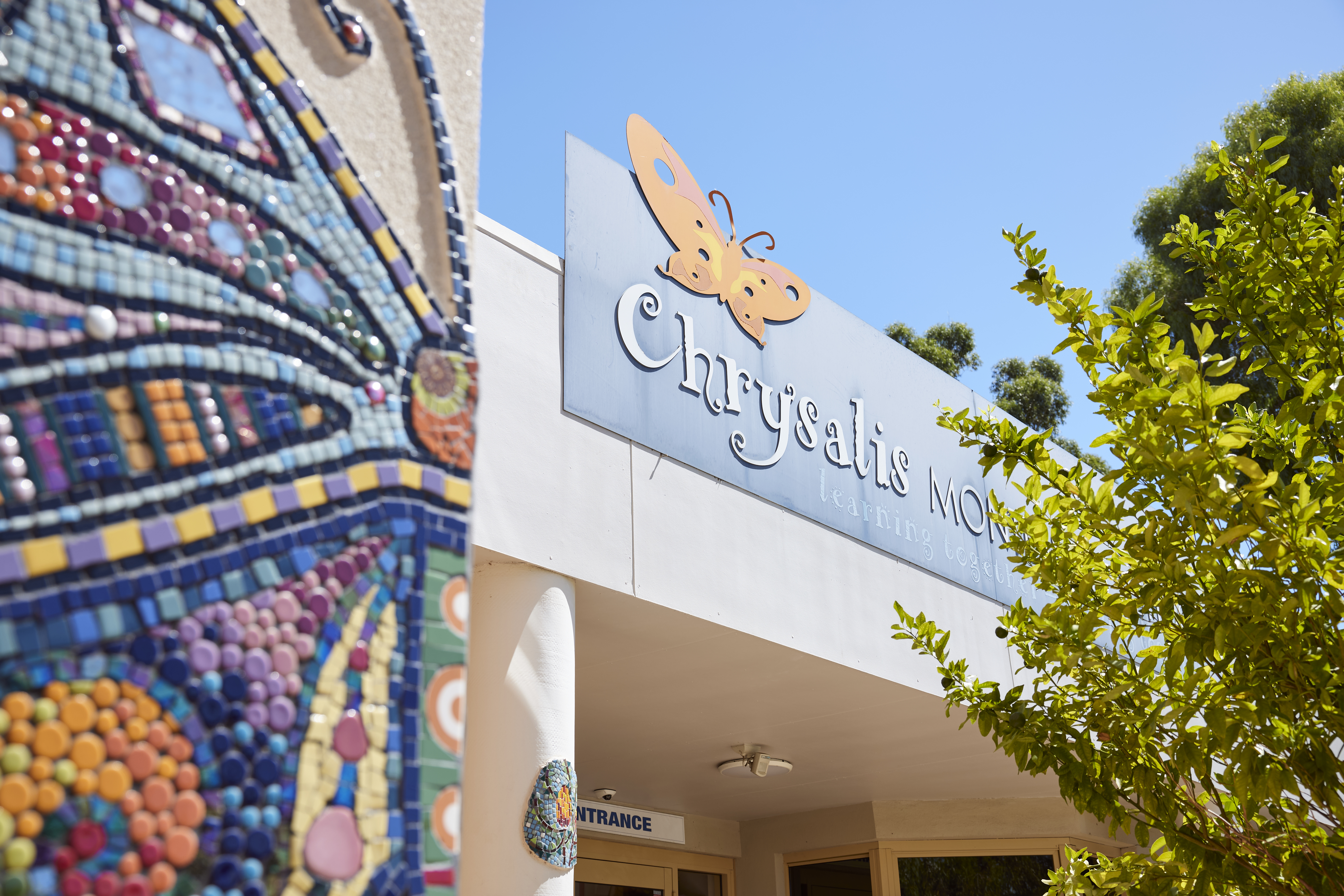 PGLEN0015©2025__BT_8514