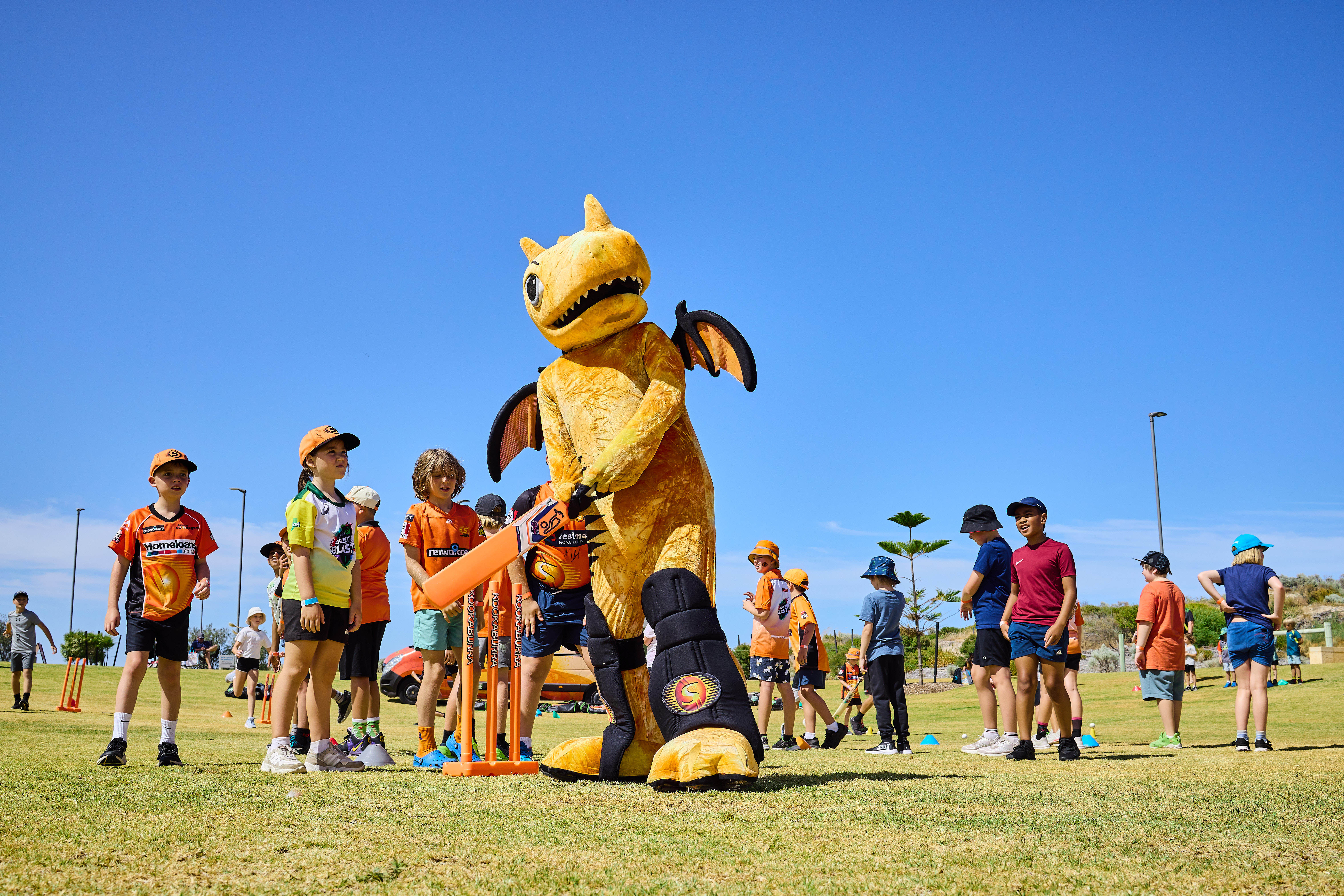 Golden Bay Community Fan Day and Ultimate Cricket workshop in partnership with the Perth Scorchers