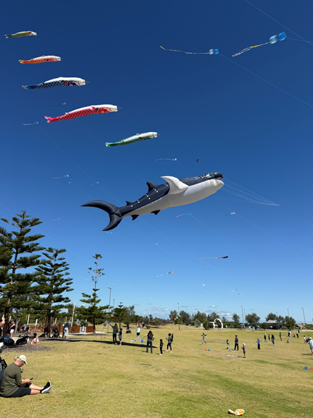 kites on the coast image