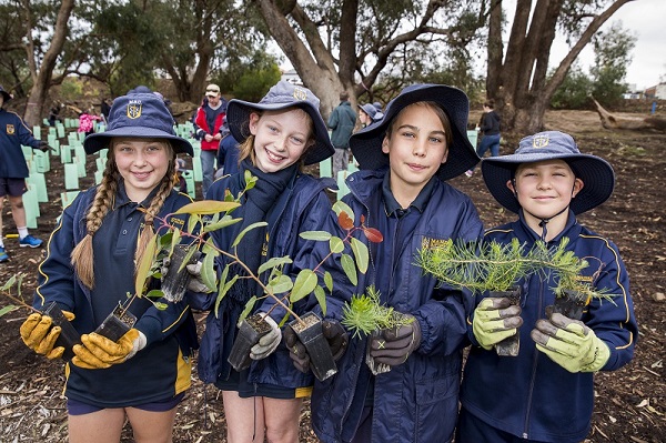 tree planting kids showing plants