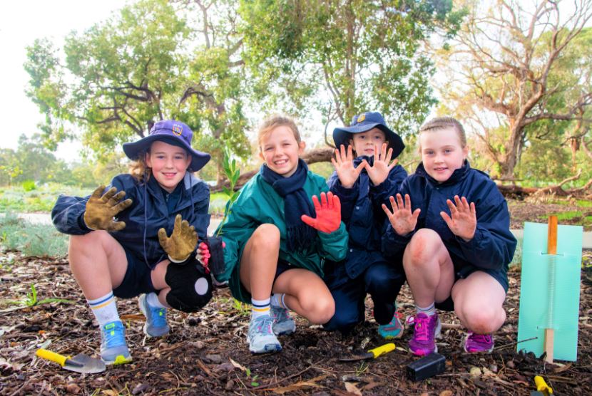lakelands-tree-planting-day