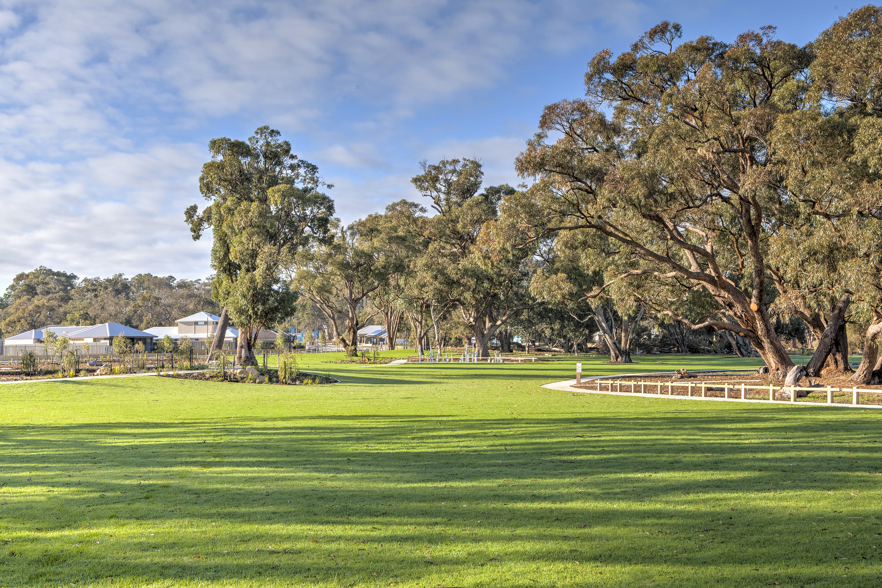 Black Swan Lake is Getting an Exciting Makeover!