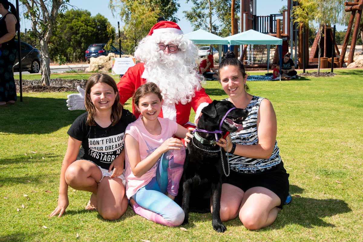 Santa paws