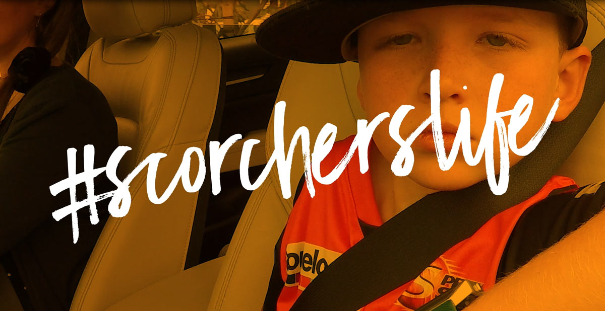 scorchers life movida