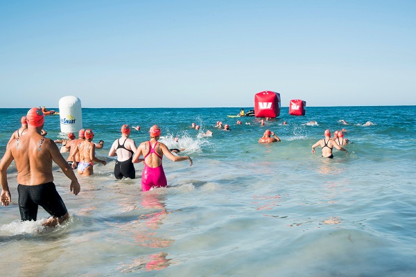 open water swim entering water shorehaven