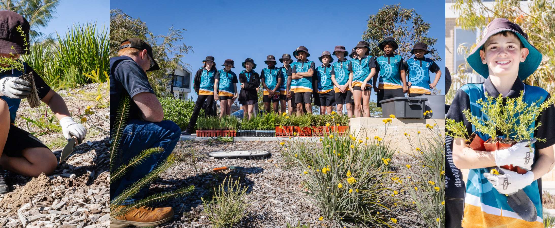 Tree Planting Day 2026